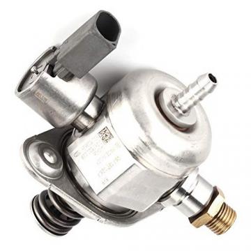 Pompa Idraulica Bosch 0510425032 per Fiat / New Holland 300 411-1300 55-66 60-66