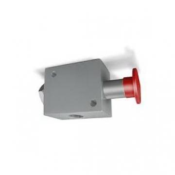 Bucher Hydraulic 1/2" 45 l/min four bank double acting lever valve 3 position sp