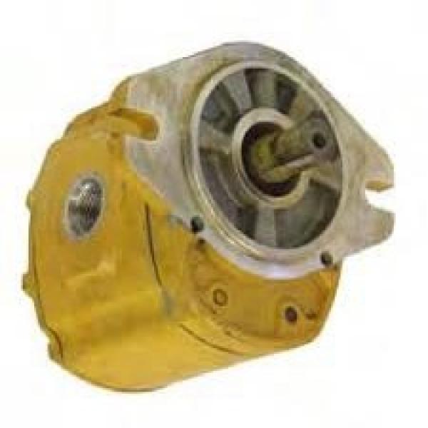 Pompa Idraulica Bosch 0510525060 per Fiat / New Holland 880 980 1180 1280 -