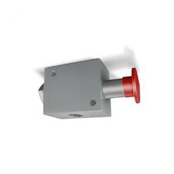 Bucher Hydraulic 1/2" 45 l/min four bank double acting lever valve 3 position sp